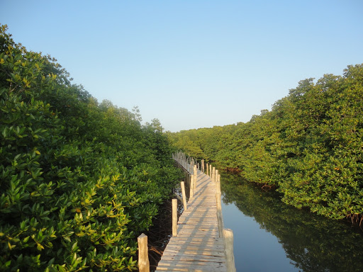 Yeratta Creek